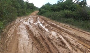 Dua Perusahaan di Aruta Membangkang Intruksi Bupati Kobar