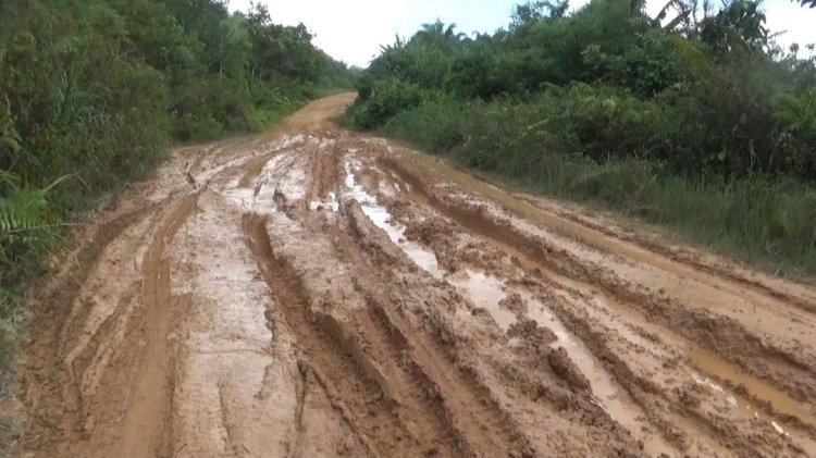 Dua Perusahaan di Aruta Membangkang Intruksi Bupati Kobar